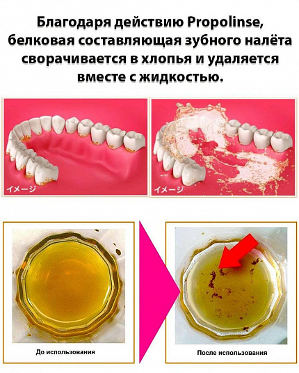 Ополаскиватель для полости рта с индикацией загрязнения PIERAS Propolinse Matcha с прополисом и вкусом чая матча, 600 мл