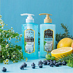 Шампунь бессиликоновый бессульфатный Питание Moist Diane Botanical Refresh, 480 мл