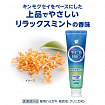 Зубная паста для чувствительных зубов Lion Clinica Pro Hyperesthesia Care Toothpaste, с энзимами, с мягким вкусом мяты, 95 г