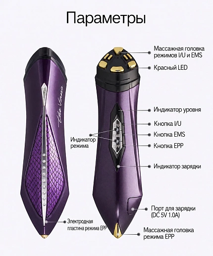 Премиальный аппарат для комплексного ухода за кожей лица ARTISTIC&CO the Vzusa iCARE с режимами I/U, EMS и EPP, красным LED-светом и тремя уровнями интенсивности 